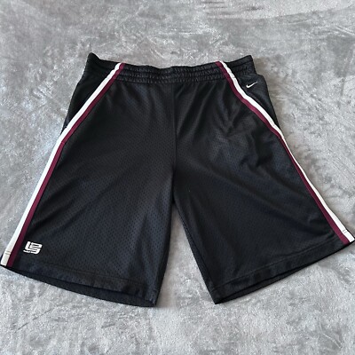 lebron leader shorts