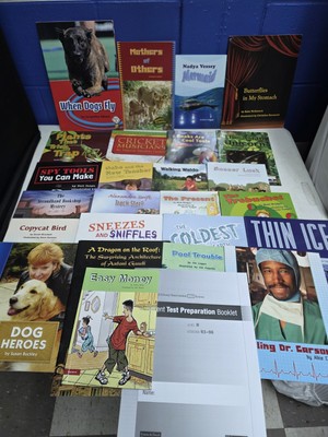 Red System Lessons 65-96 - Fountas LLI (Grade 3) - 26 Books Total