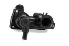 Thermostat Ford P 100