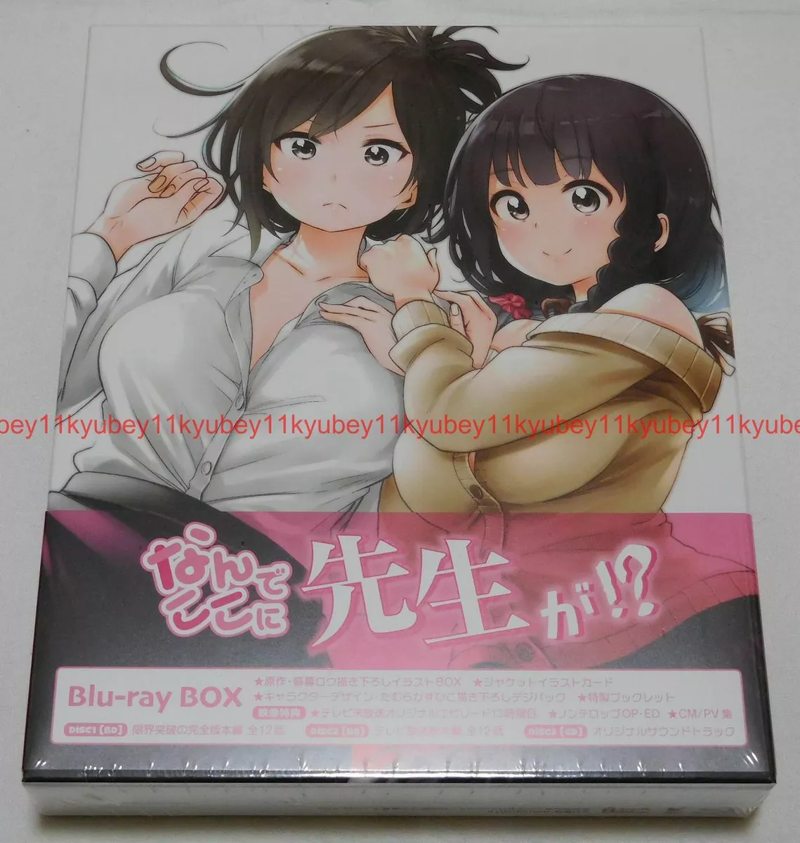 Why the Hell are You Here Teacher Nande Koko ni Sensei ga Blu-ray CD Box  Japan