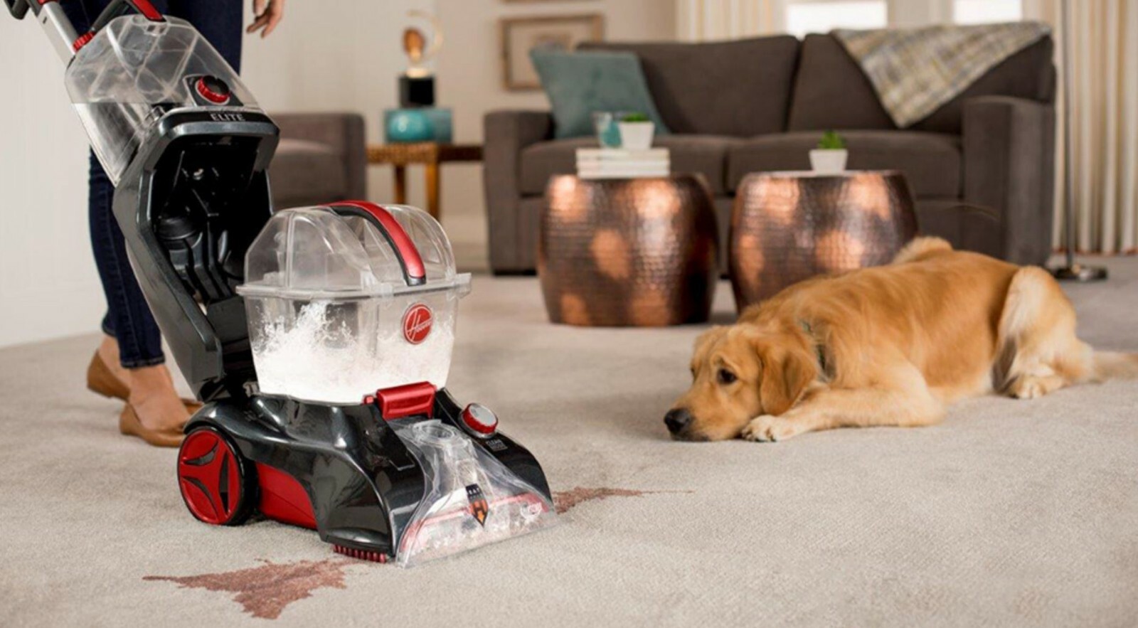 hoover pet messes