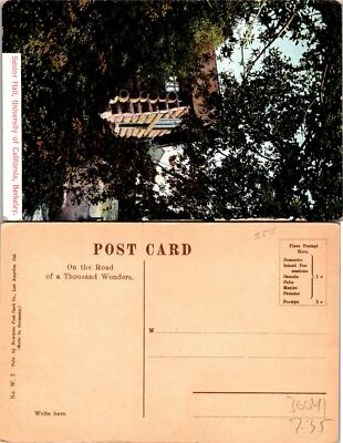Unviersity of CA Berkeley Senior Hall Postcard Unused (36041)