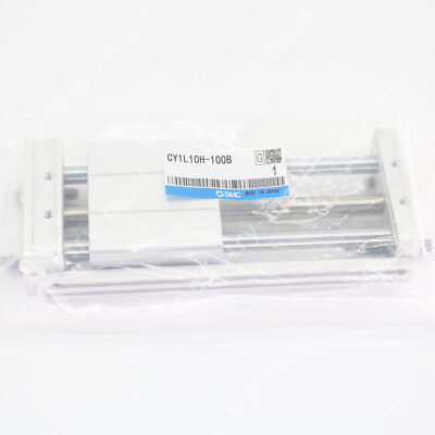1pc New   CY1L10H-100B rodless cylinder in box   #A6-31
