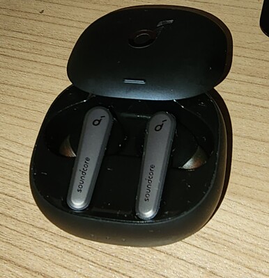 Anker Soundcore Liberty Air 2 Pro Earbud (In Ear) - Black