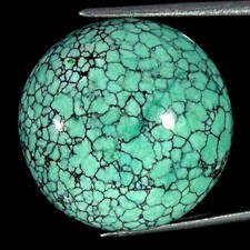19.40Cts Natural Tibetan Turquoise Round Cabochon Loose Gemstone 21x7mm