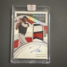 2023 Panini Immaculate JAMES WOOD Prospect Patch Auto Holo Silver #/25 NATIONALS