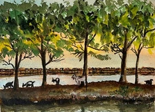 Limited Watercolor Print/Goat Island Marshwalk, Murrells Inlet SC – 9x11 Framed