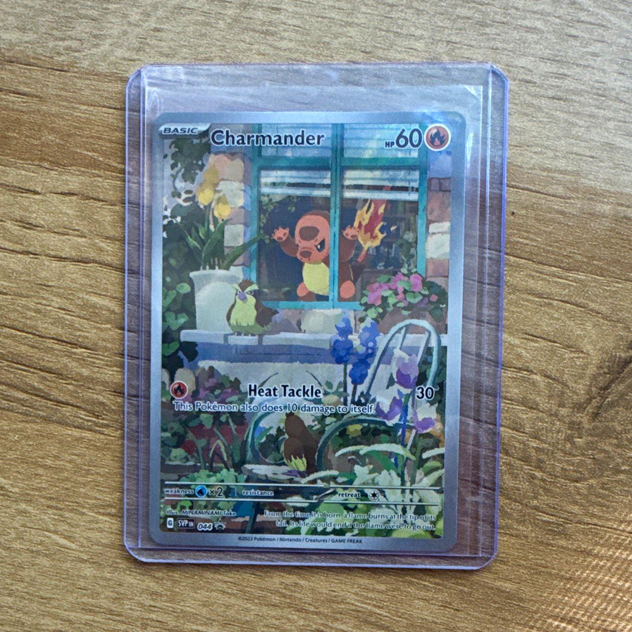 Pokemon TCG Charmander SV Promo 044 Holo English Basic 60 HP Heat Tackle