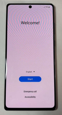 GLITCHY TOUCH/LIGHT BURN Samsung Galaxy Note 20 5G 128GB Gray Unlocked SM-N981U1