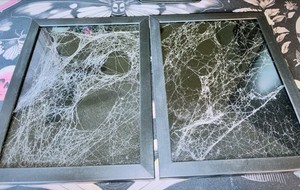 Framed Preserved Spiderweb Wall Art Modern Black White Decor