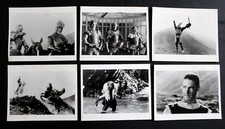 (Set of 22) Hearts and Armour (Barbara De Rossi) Movie Photos & Lobby Cards  80s
