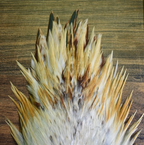 Lote de 53 plumas de silla de montar de gallo India para atar moscas - Imagen 2 de 2