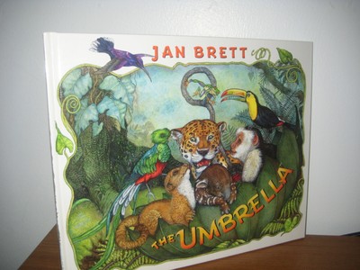 Jan brett the umbrella