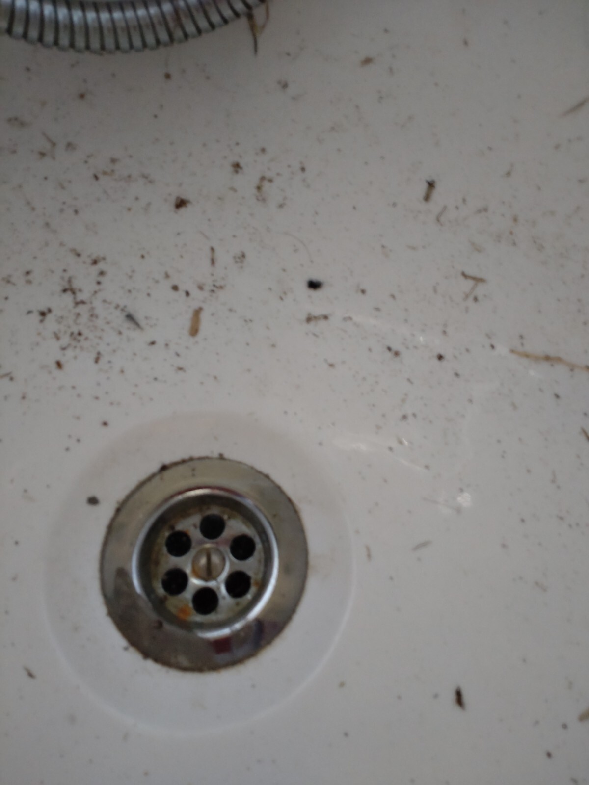 Resin Roll Top Bath eBay