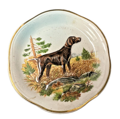GERMAN POINTER COLLECTIBLE PLATE ROYAL WORCESTER CO. FREE SHIP
