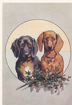 X- MAS   Lustige Postkarte * DACKEL * TECKEL *  postcard # 2