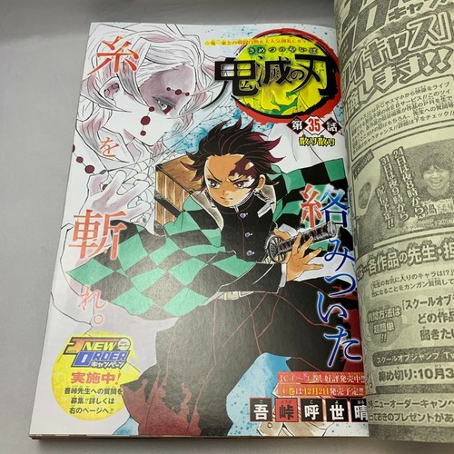 Weekly Shonen Jump 16 47 One Piece Front Color Japanese Magazine Manga Jp Ebay