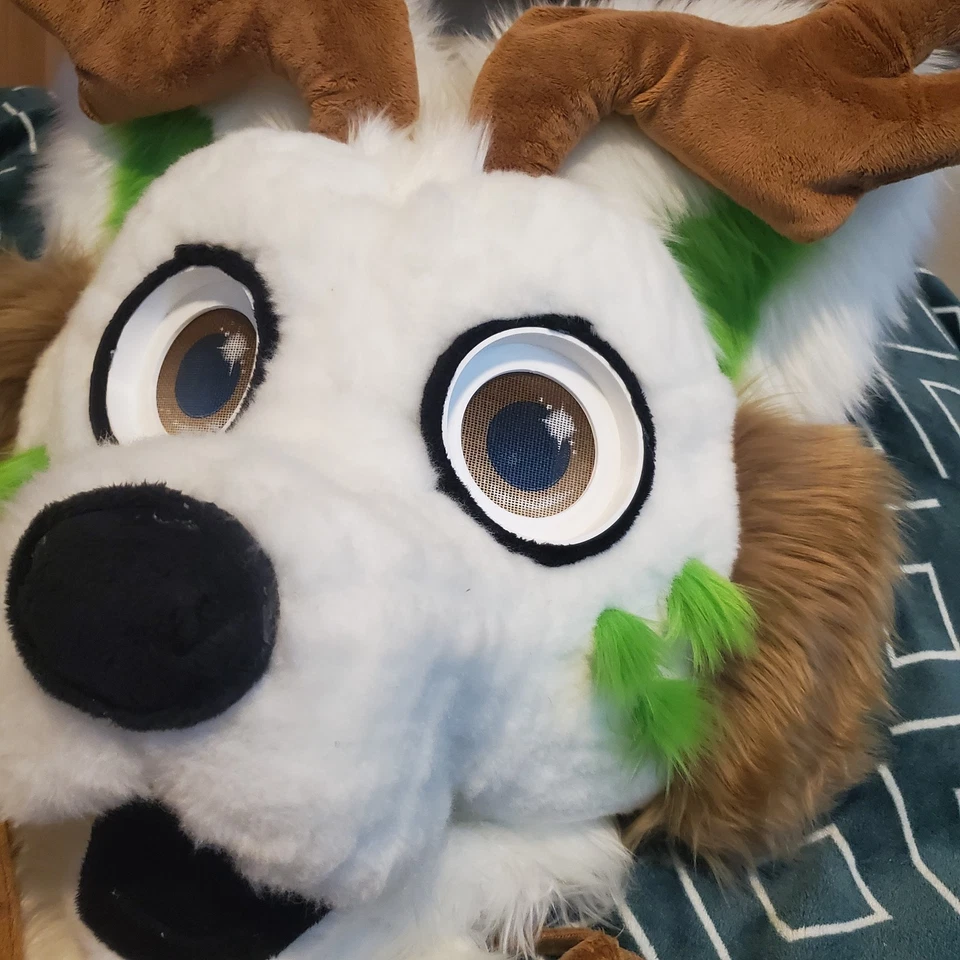 ¡CERRADO! 🌿 ¡COMISIONES DE FURSUIT! 🌿Leer descripción antes de comprar! Foto 2 de 4