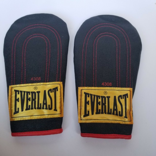 everlast boxing gloves small