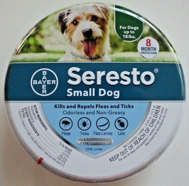 Bayer Seresto Flea And Tick Collar For Small Dogs 1 Pack For Sale Online EBay bayer-seresto-flea-and-tick-collar-for-small-dogs-1-pack-for-sale-online-ebay