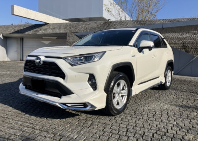 TOYOTA RAV4 HYBRID AXAH52 GRILLE, RADIATOR, LOWER NO.2 53113-42130