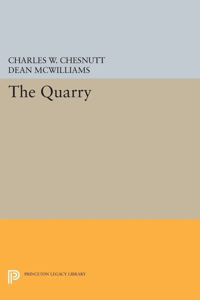 The Quarry Charles W. Chesnutt Taschenbuch Einband - Flex.(Paperback) Englisch-image