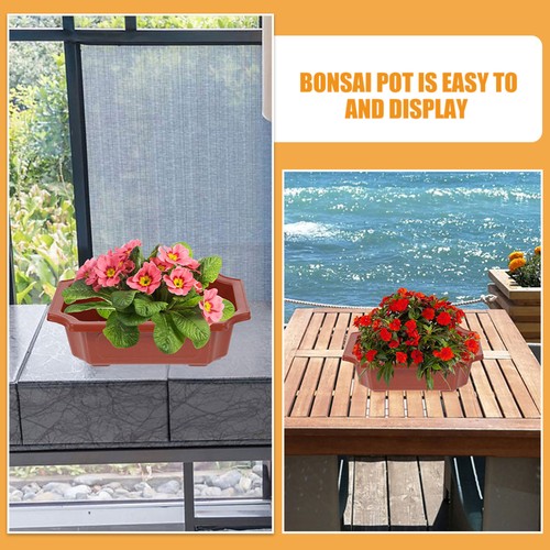 2 Count Imitation Ceramic Flowerpot Plants Orchid Rectangular with Drainage - Picture 12 of 12