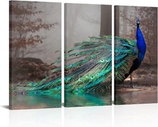 MLOML 3 Panels Green Peacock Canvas Wall Art Elegant Bird Showing Its Feather Ar