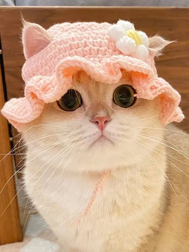 Knitted Flower Cat Hat Puppy Kitten Elastic Woven Cap Handmade Pet Hat DIY Cute - Picture 15 of 22