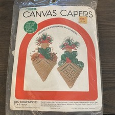 Canvas Capers Two Straw Baskets Plastic Canvas Kit  444 VTG 1983 3  x 5  