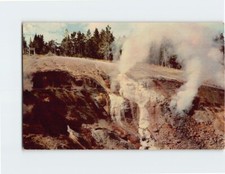 Postcard Black Growler Steamvent Norris Yellowstone National Park Wyoming USA