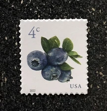 2022USA #5652 4c Blueberries - Sheet Single  Mint NH  blueberry fruit