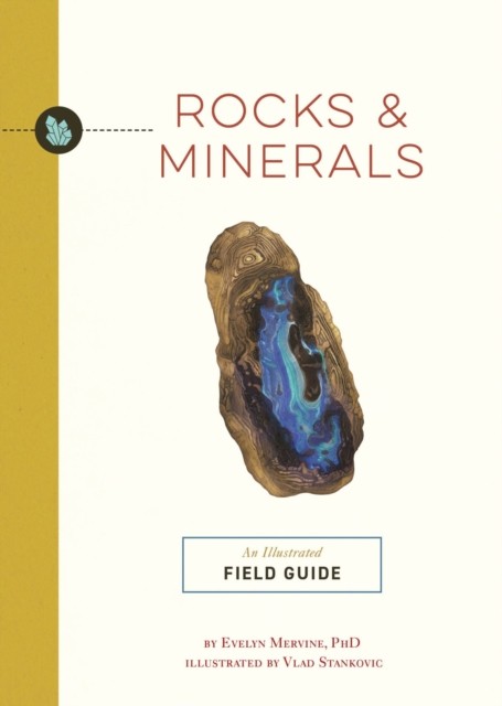 Rocks and   Minerals: An Illustrated Field Guide by Evelyn Mervine NEW - Image 4