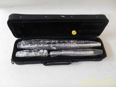 Maxtone Flute Tf-40s New Used