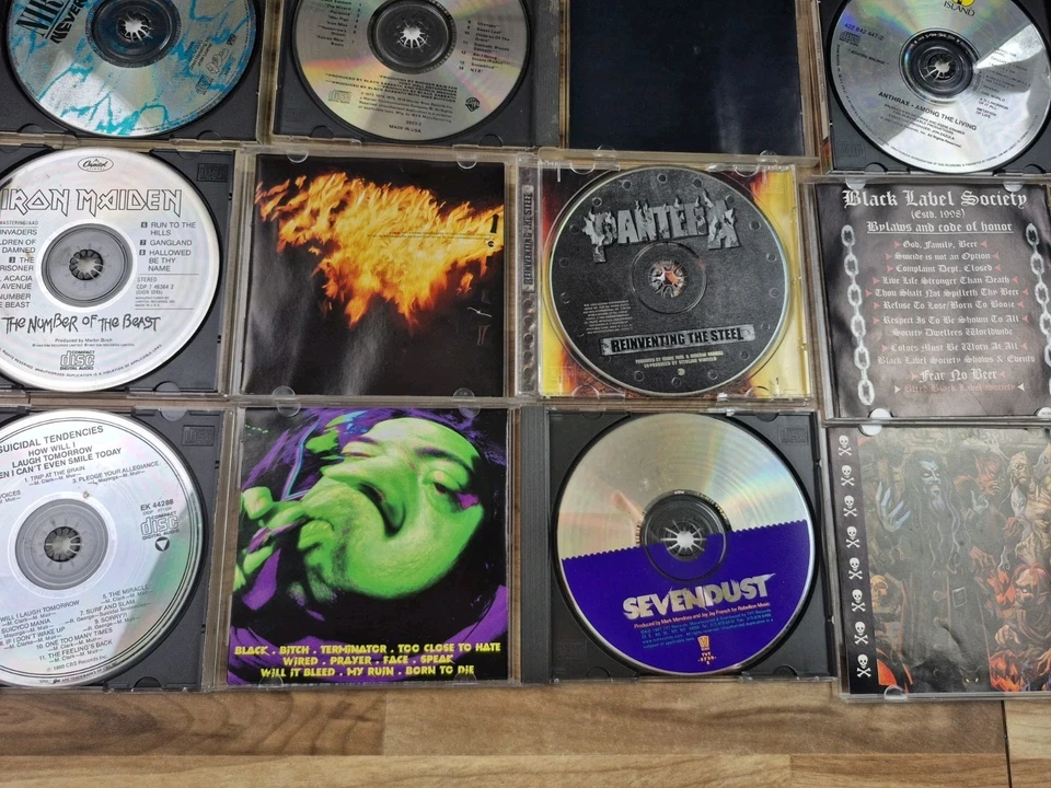 Rock Metal Grunge Punk CD Lot of 12 Kid Rock Anthrax Megadeth Pantera Iron Mdn Foto 4 de 4
