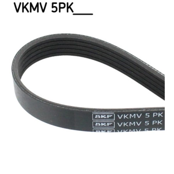 Keilrippenriemen SKF Vkmv 5PK1166 FüR Alfa Romeo Fiat Mito Punto Palio 500L-image
