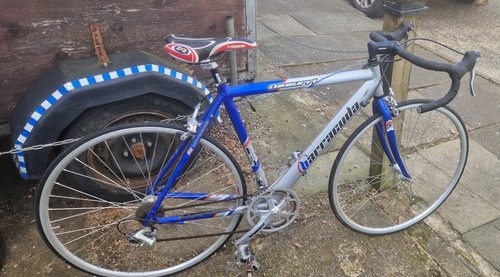 Barracuda Azzurri Bike Blue & Silver - Picture 12 of 12