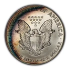 1992 1 oz Silver American Eagle - Rainbow Rim Toning - BU - SKU-E3430