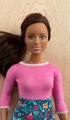 Brunette  National Geographic  Conservationist GDM48 ,Barbie school dress