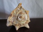 Foto 2 di 9