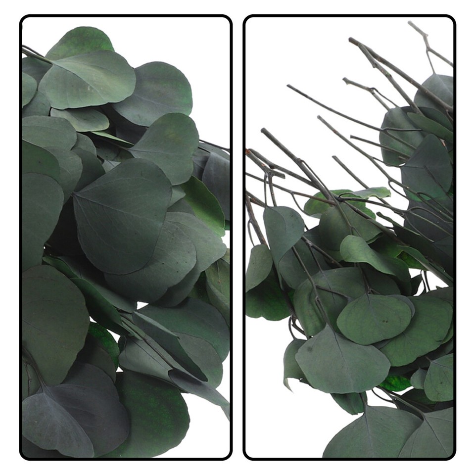 Preserving Dried Eucalyptus Stems Artificial Flower Natural Bouquet eBay