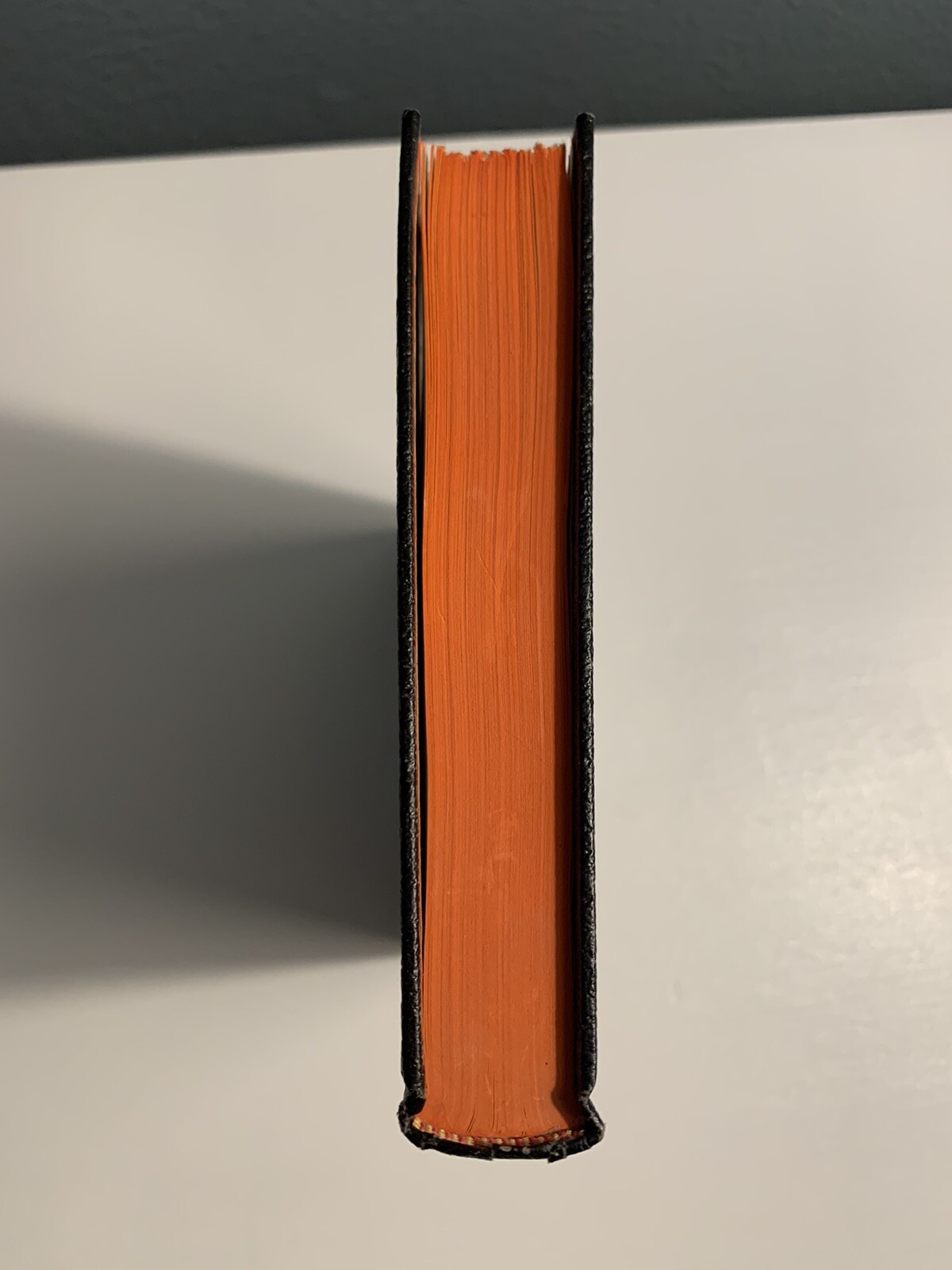 Picture 5 of 14