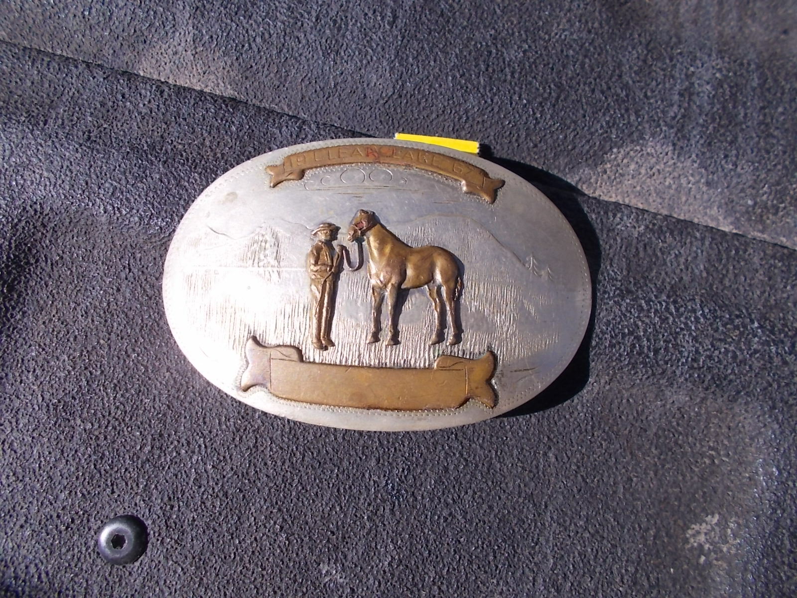 1967 Clear Lake South Dakota ? Horse Show Trophy Irvi… Gem