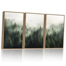  Green Fog Pine Tree Forest Canvas Wall Art 11x14in Framed Modern Artwork 