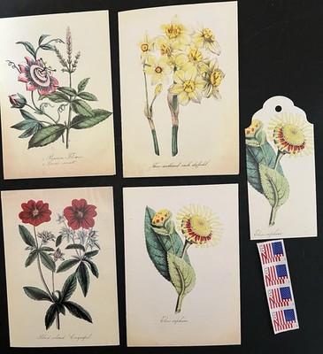 Set of 4 Vintage Style Botanical Notecards Env/Gift Tag/Stamps BN Blank Floral