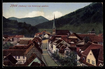 Ansichtskarte Ilfeld / Harz, Panoramablick vom Steinberge 