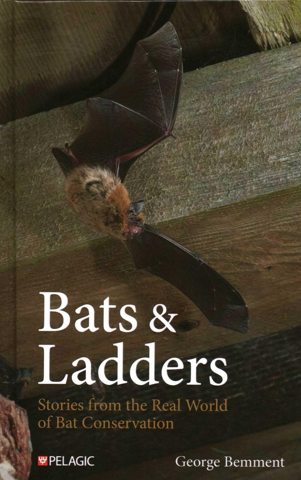 Bats & Ladders: Stories from the Real World of Bat Conservation (Bat Biology and Conservation) - Image 3