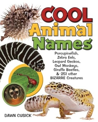 Cool Animal Names: Porcupine F - VERY GOOD