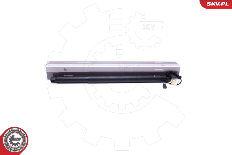 Pièce de rechange moteur électrique hayon 52SKV905 ESEN SKV compatible avec coffre de BMW