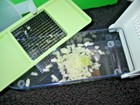 Bild 6 von 11
